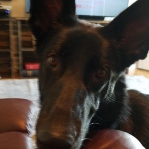 Meet your Posher, Elden